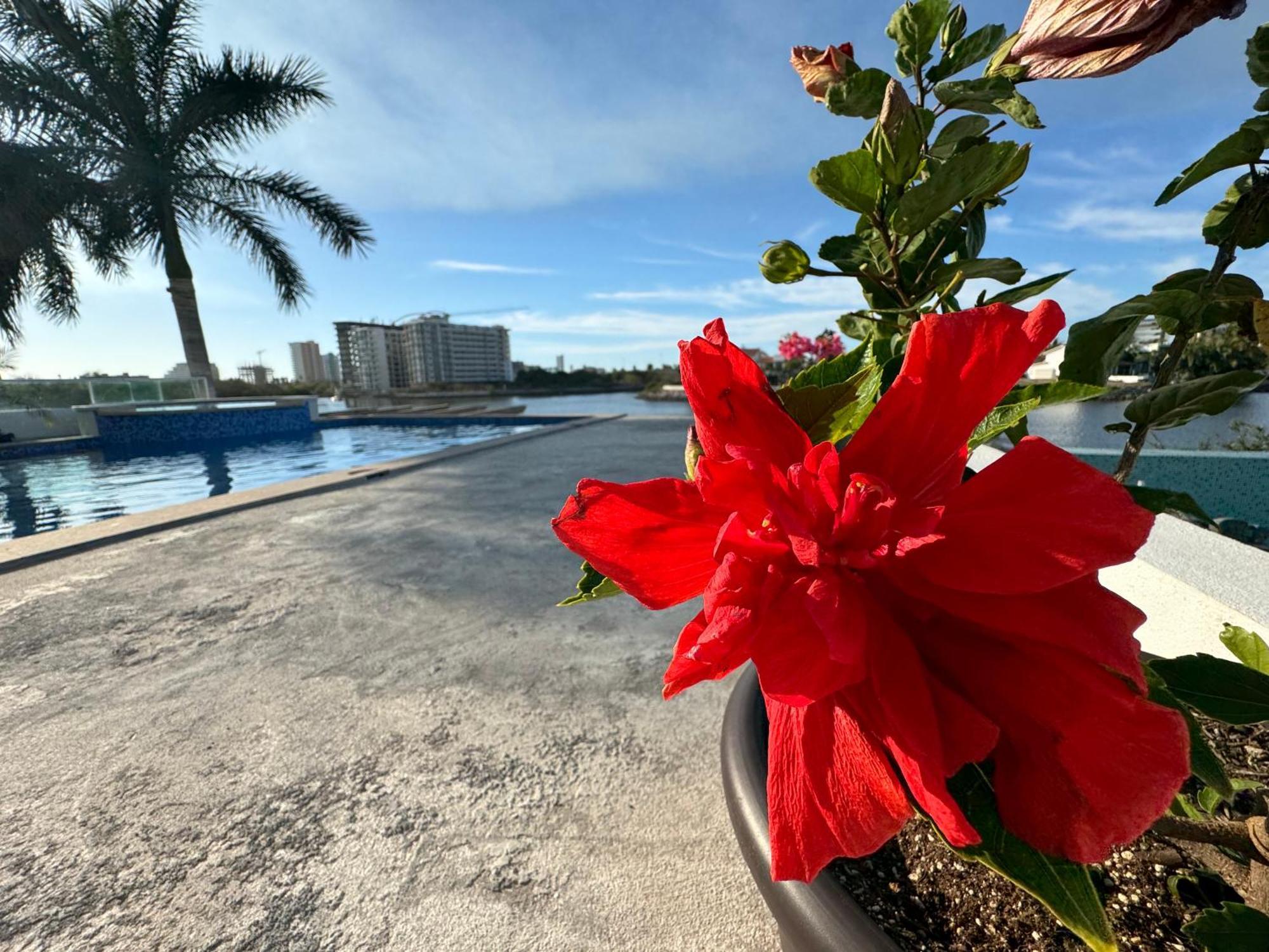 Вилла Casa Isla Marina Vista Al Mar 20 Personas Масатлан Экстерьер фото